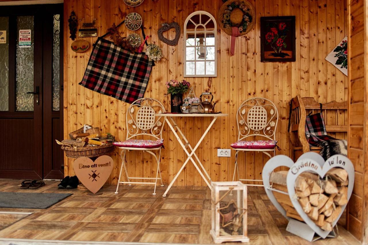 Gradina Lu' Ion "A Home Away From Home" (Adults Only) Vişeu de Sus Eksteriør bilde